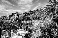 Parc Gual in Infrared, Barcelona, Spain